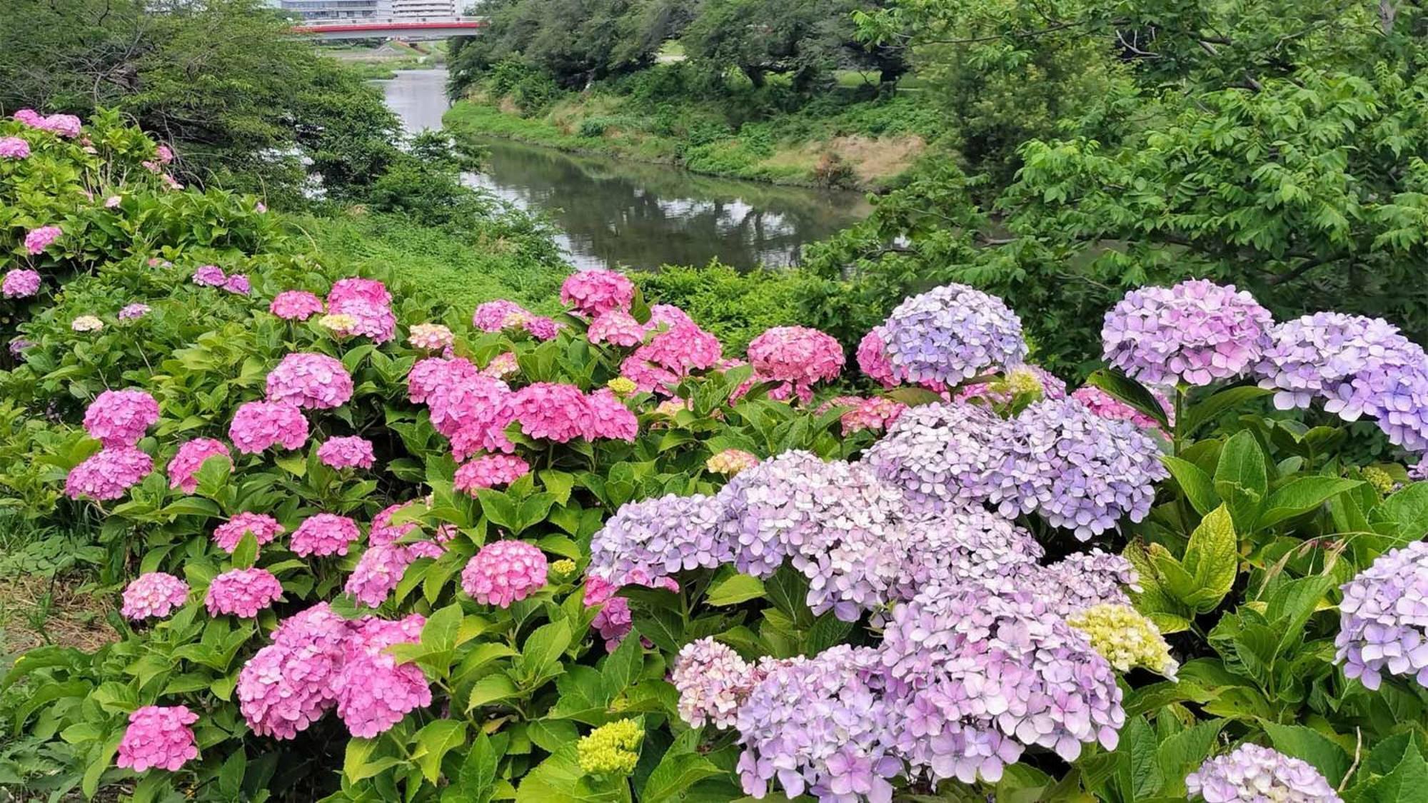 Toyoko Inn Shiki Eki Higashi Guchi Екстериор снимка